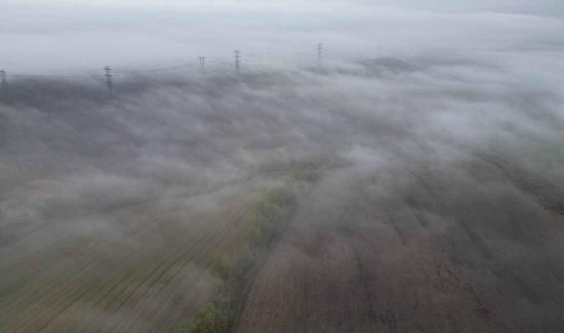  Tekirdağ'da sis nedeniyle görüş mesafesi yer yer 50 metrenin altına