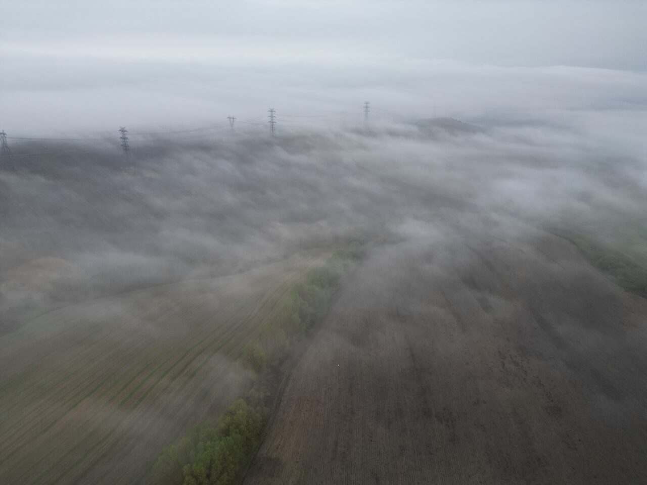  Tekirdağ'da sis nedeniyle görüş mesafesi yer yer 50 metrenin altına