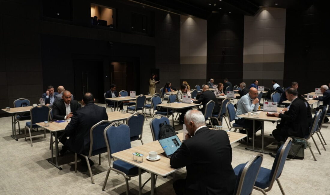 Türkiye ile Birleşik Arap Emirlikleri'nin (BAE) sağlık sektörler temsilcileri İstanbul'da