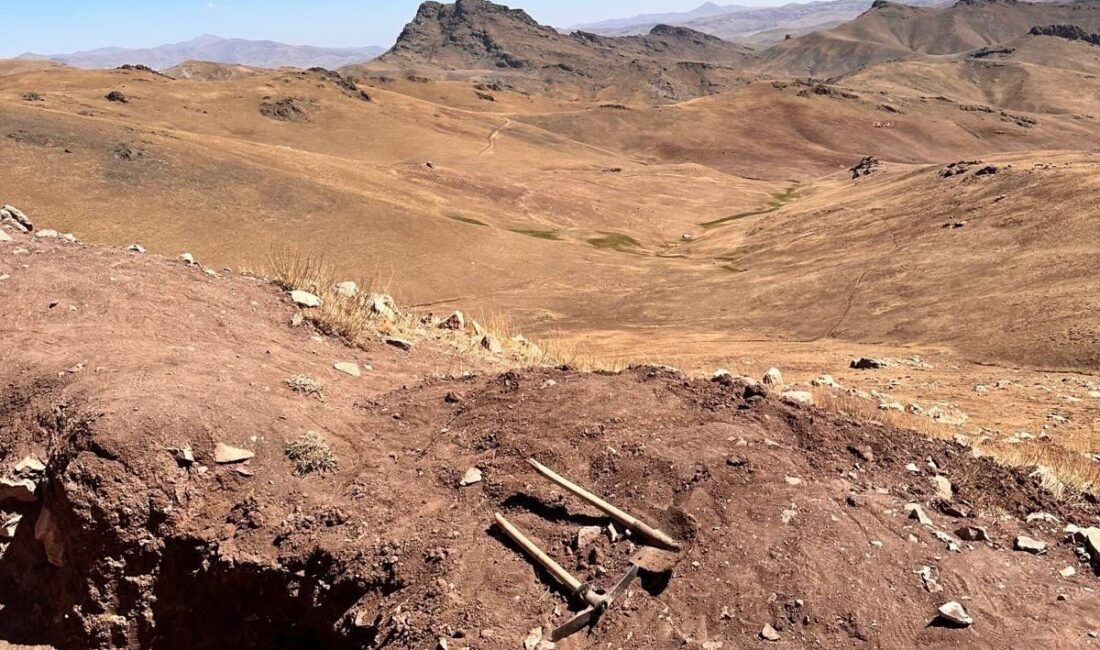  Van'ın Özalp ilçesinde kaçak kazı yapan 6 şüpheli, jandarma ekiplerince