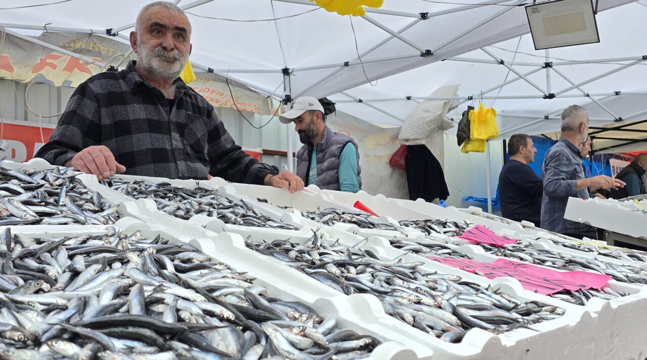 Zonguldak'ta balık tezgahlarında hamsi bolluğu yaşanıyor.