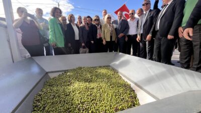 11. Uluslararası Milas Zeytin Hasat Şenliği kapsamında Euromos Antik Kenti'nde