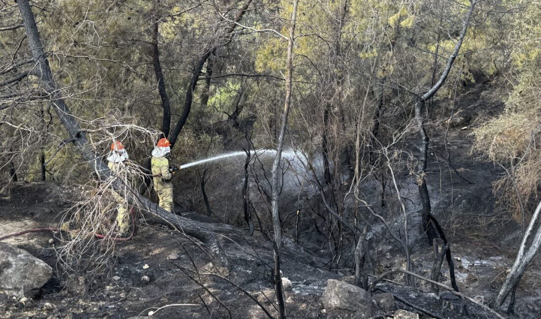  Adana'nın merkez Çukurova ilçesinde çıkan orman yangını ekiplerin müdahalesiyle söndürüldü.