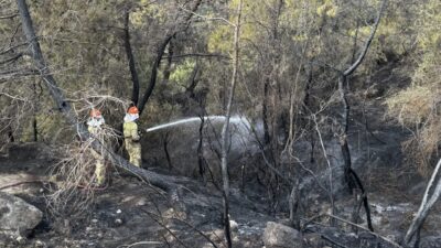  Adana'nın merkez Çukurova ilçesinde çıkan orman yangını ekiplerin müdahalesiyle söndürüldü.