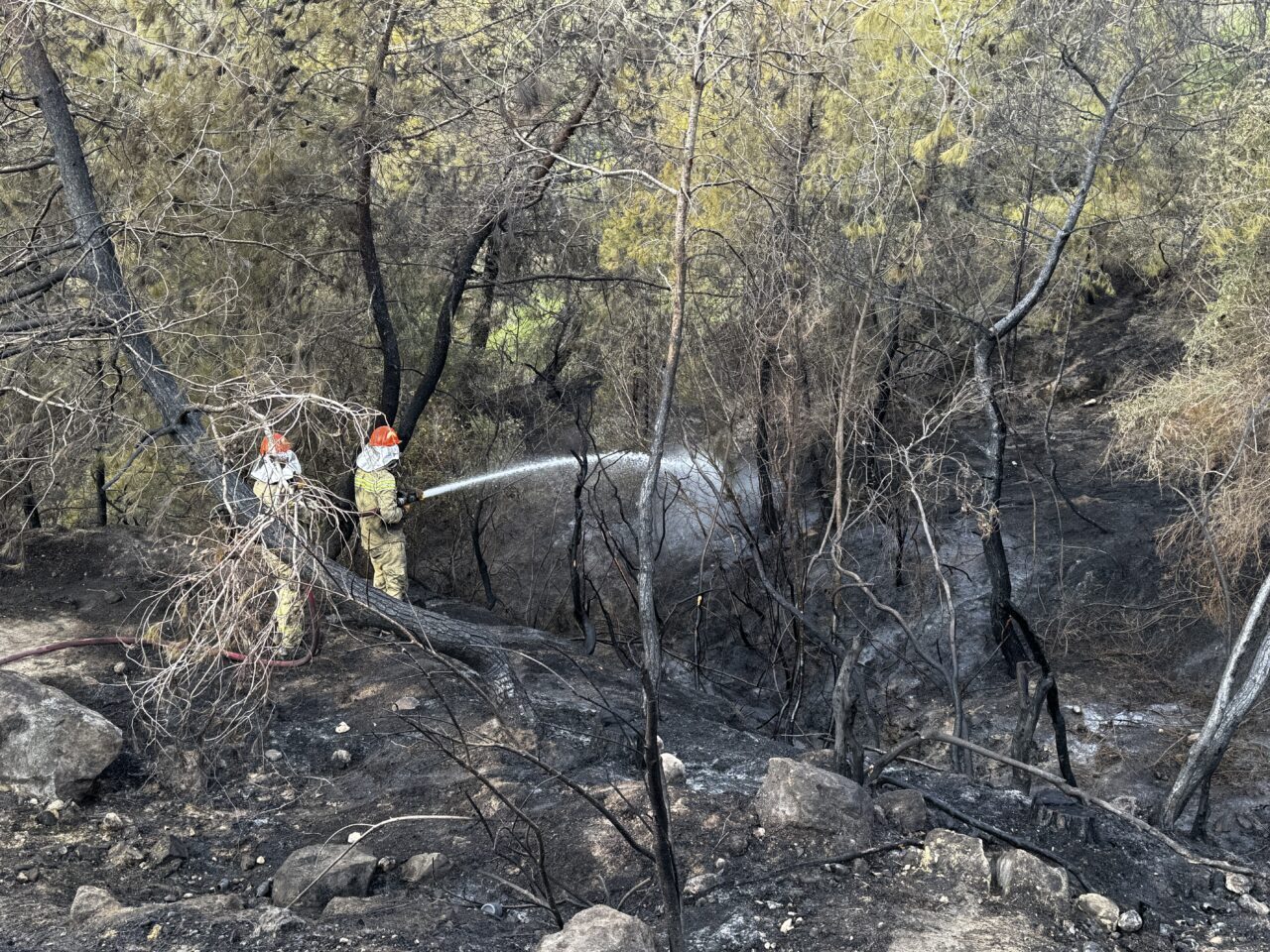  Adana'nın merkez Çukurova ilçesinde çıkan orman yangını ekiplerin müdahalesiyle söndürüldü.