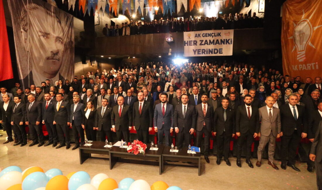 AK Parti Genel Başkan Yardımcısı Ahmet Büyükgümüş, "Terörün belini bükecek