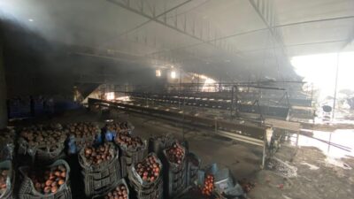 Antalya'nın Aksu ilçesinde, bir meyve sebze paketleme tesisinde çıkan yangında