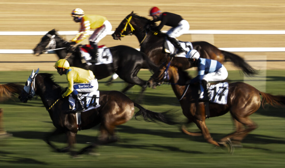 At yarışlarında 45. Cumhuriyet Koşusu'nu, jokey Mehmet Salih Çelik'in bindiği