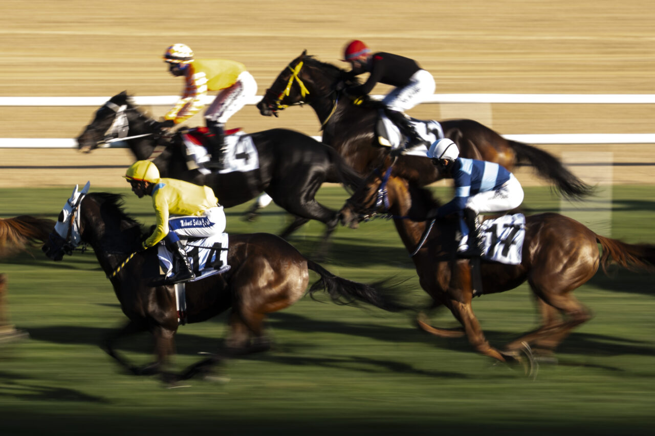 At yarışlarında 45. Cumhuriyet Koşusu'nu, jokey Mehmet Salih Çelik'in bindiği