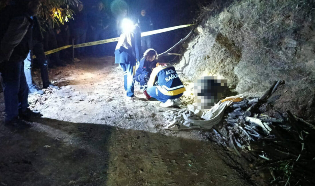 Aydın'ın Nazilli ilçesinde, odun toplamak için kestane bahçesine giden kişi,