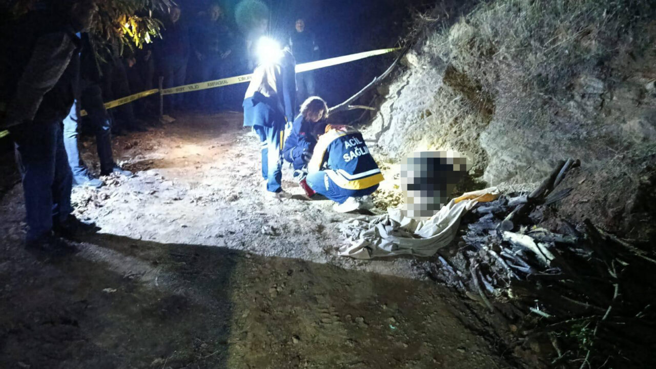 Aydın'ın Nazilli ilçesinde, odun toplamak için kestane bahçesine giden kişi,