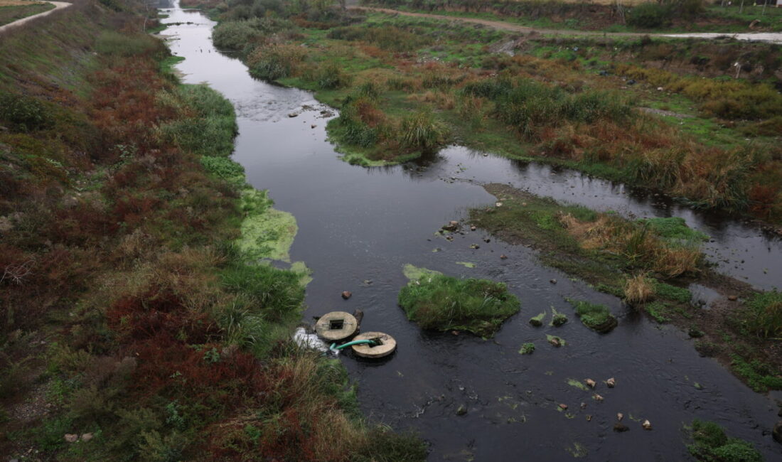 Bandırma Onyedi Eylül Üniversitesi Denizcilik Fakültesi Öğretim Üyesi Prof. Dr.