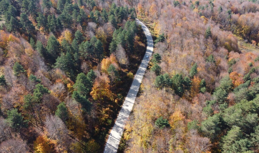  Bilecik'in Pazaryeri ilçesindeki Küçükelmalı Tabiat Parkı ile Bozcaarmut Göleti yakınlarındaki