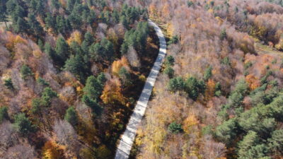  Bilecik'in Pazaryeri ilçesindeki Küçükelmalı Tabiat Parkı ile Bozcaarmut Göleti yakınlarındaki