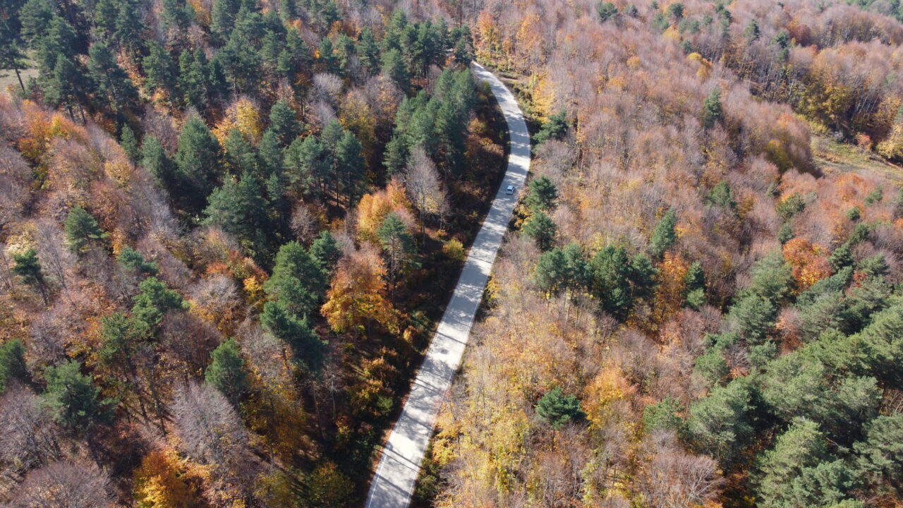  Bilecik'in Pazaryeri ilçesindeki Küçükelmalı Tabiat Parkı ile Bozcaarmut Göleti yakınlarındaki