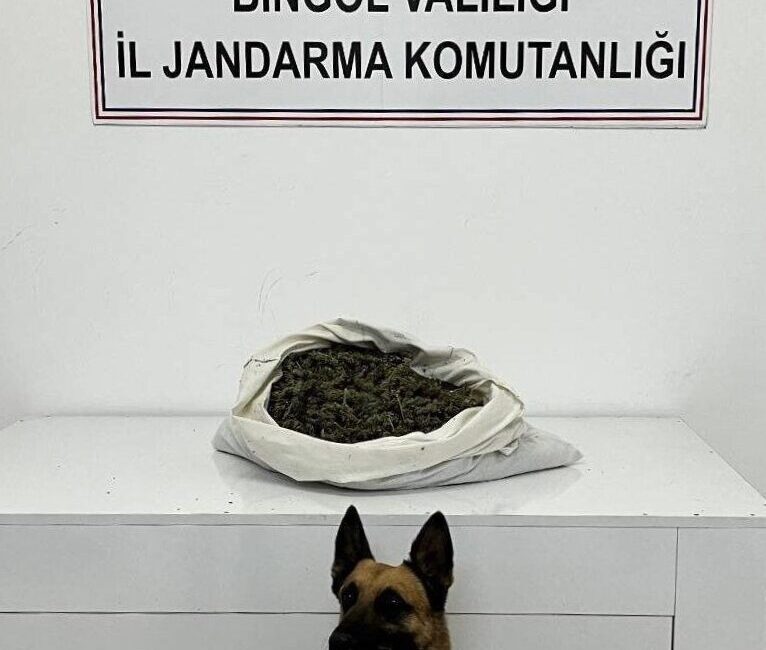  Bingöl'de düzenlenen uyuşturucu operasyonunda yakalanan şüpheli tutuklandı.