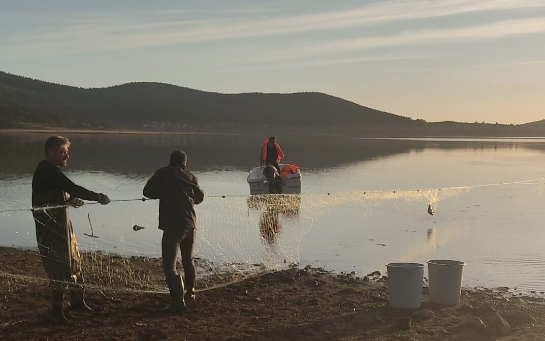 Bolu'da Seben Taşlıyayla Göleti'ne kaçak avcıların bıraktığı 5 bin metre