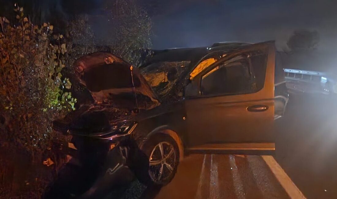 Bolu’nun Yeniçağa ilçesinde traktör ile kamyonetin çarpışması sonucu 5 kişi