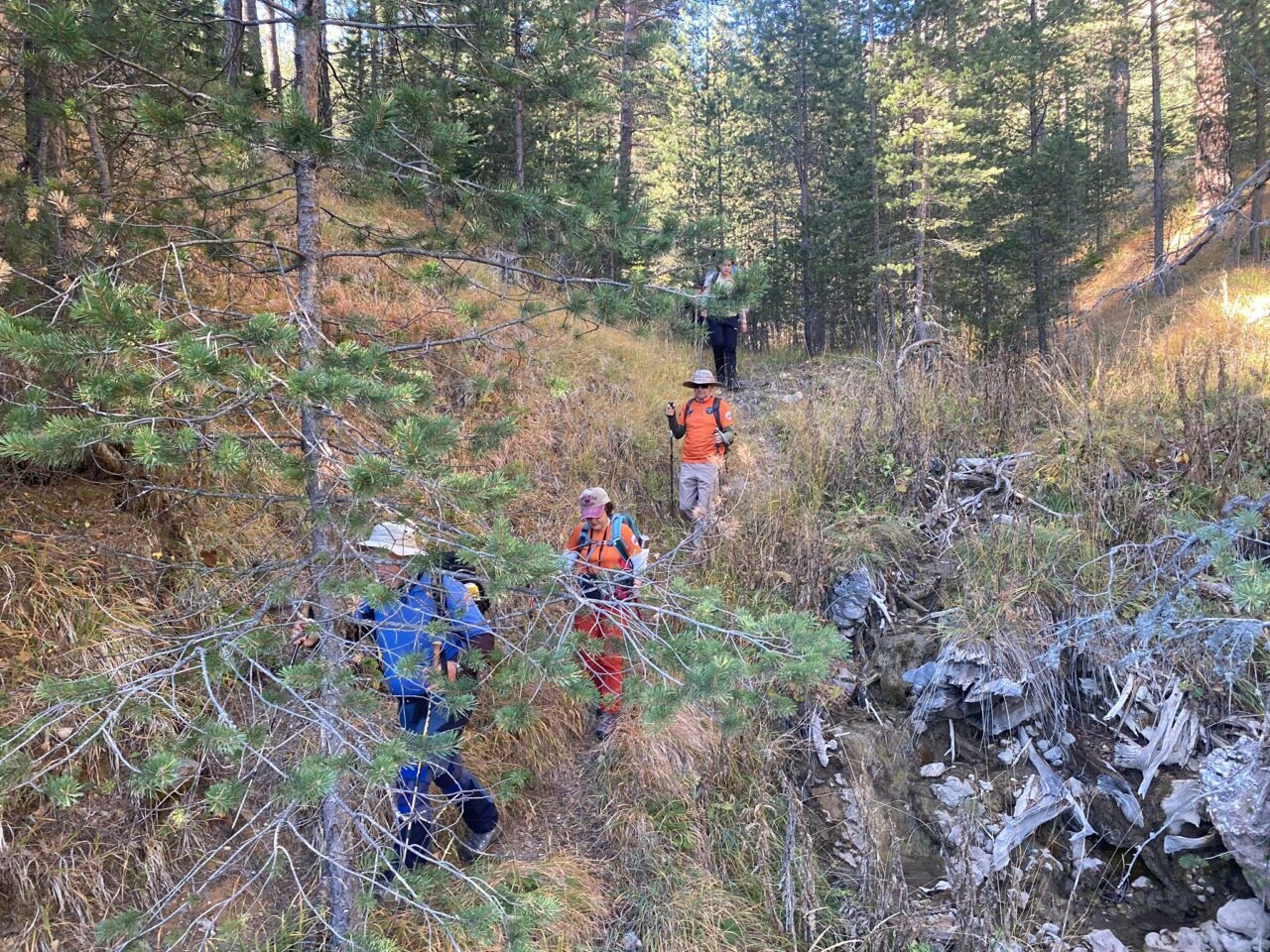  Çankırı'da dağcılar, Cumhuriyet'in 102. yılını Ilgaz Dağı'nın zirvesinde kutladı.