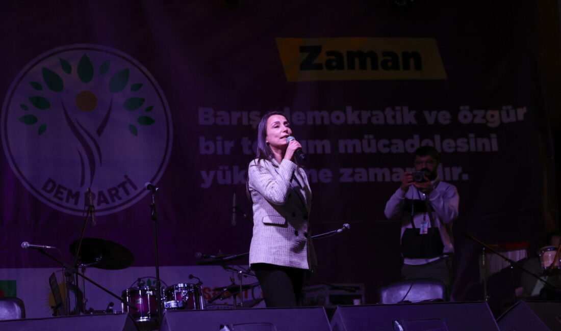 Halkların Eşitlik ve Demokrasi Partisi (DEM) Eş Genel Başkanı Tülay