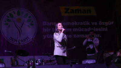 Halkların Eşitlik ve Demokrasi Partisi (DEM) Eş Genel Başkanı Tülay