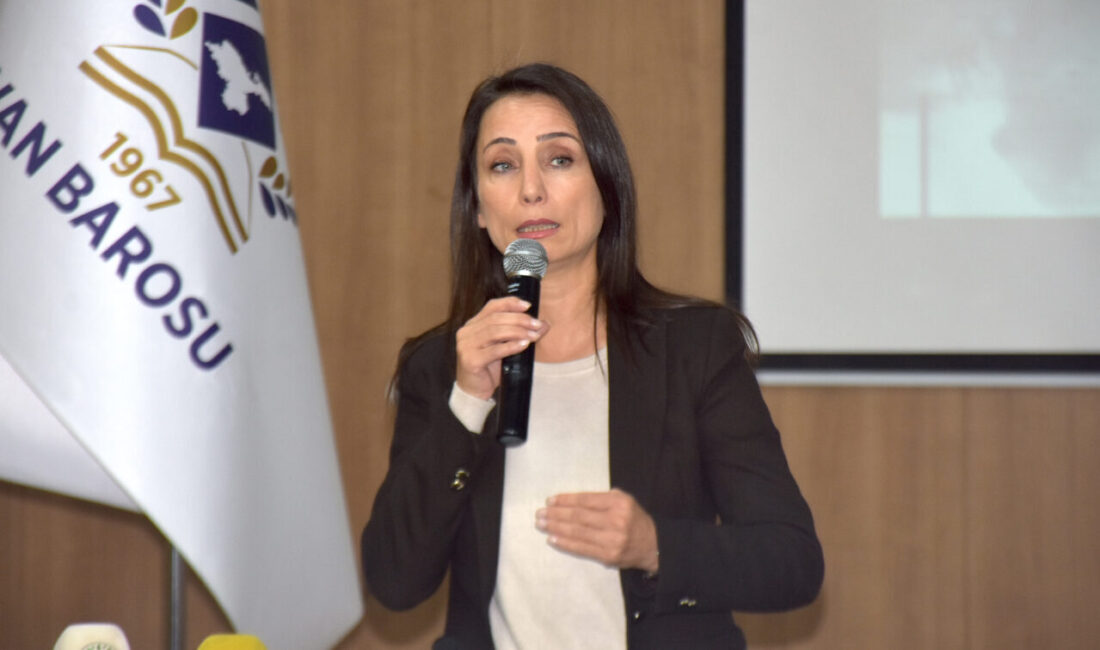 Halkların Eşitlik ve Demokrasi Partisi (DEM) Eş Genel Başkanı Tülay