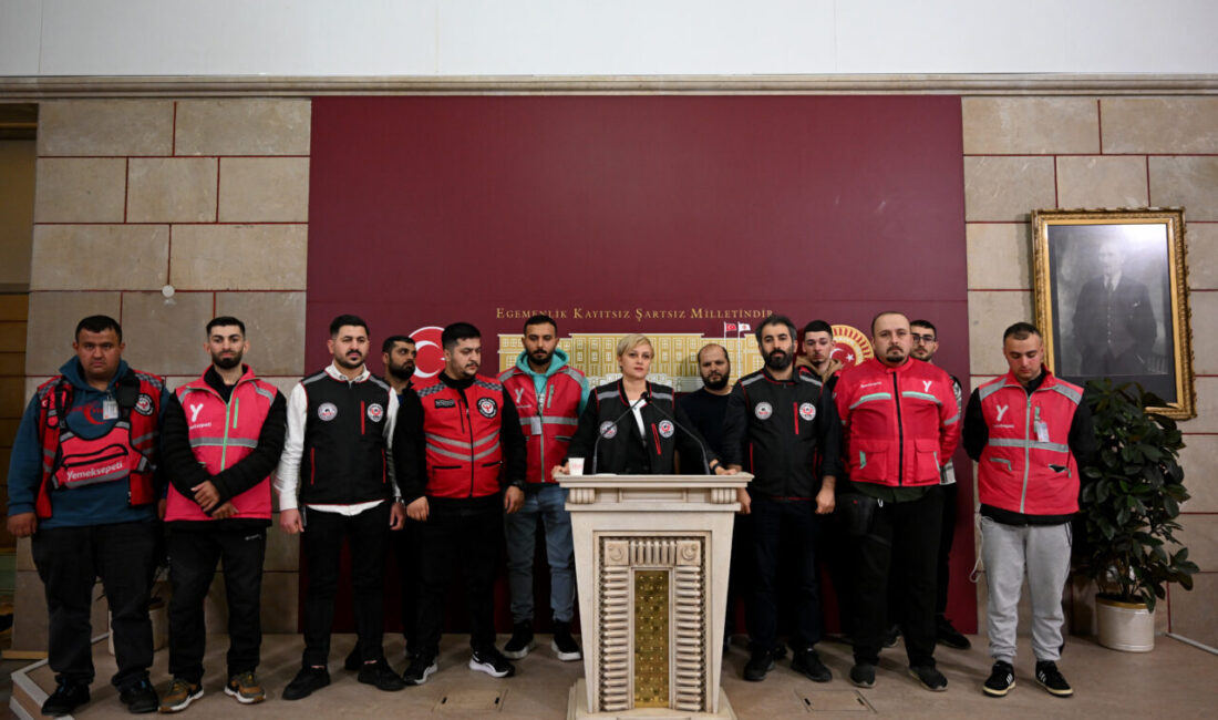 DEM Parti Mersin Milletvekili Perihan Koca Doğan, Mardin Milletvekili Beritan