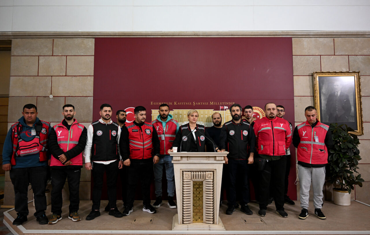 DEM Parti Mersin Milletvekili Perihan Koca Doğan, Mardin Milletvekili Beritan