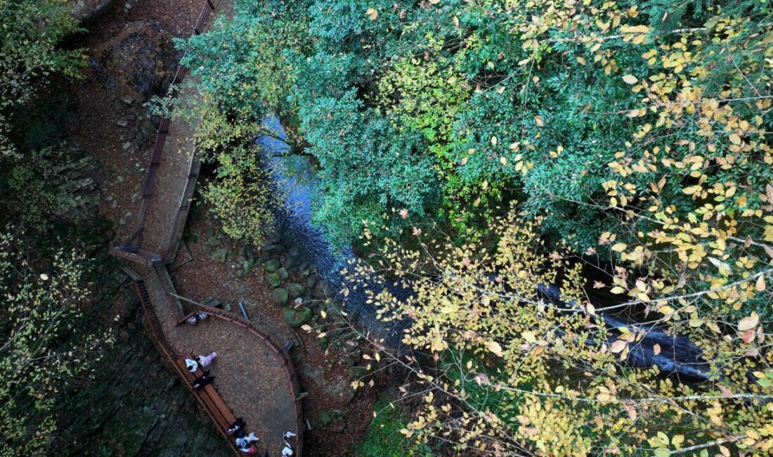 Düzce'nin Akçakoca ilçesinde yer alan Aktaş Şelalesi, sonbahar renklerinin hakim