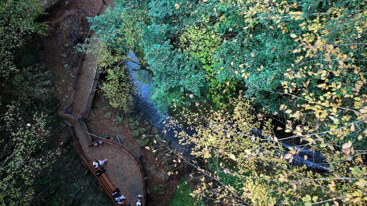 Düzce'nin Akçakoca ilçesinde yer alan Aktaş Şelalesi, sonbahar renklerinin hakim