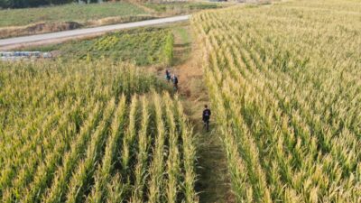 Elazığ'da ailesinin kayıp ihbarında bulunduğu 14 yaşındaki otizmli çocuğu bulmak