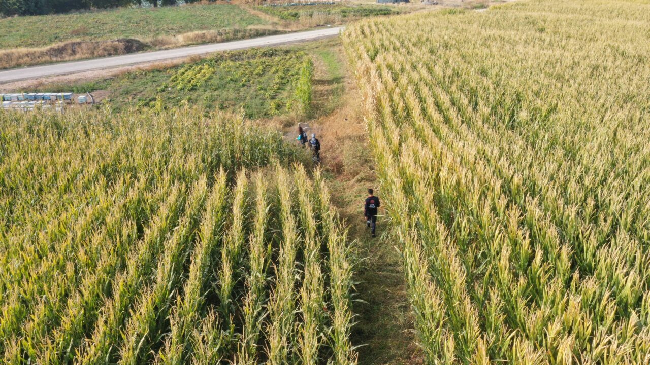 Elazığ'da ailesinin kayıp ihbarında bulunduğu 14 yaşındaki otizmli çocuğu bulmak