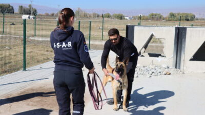 Erzincan'da başlatılan proje kapsamında ilk olarak sahipli 7 köpeğe arama