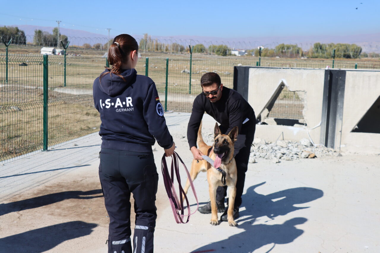 Erzincan'da başlatılan proje kapsamında ilk olarak sahipli 7 köpeğe arama