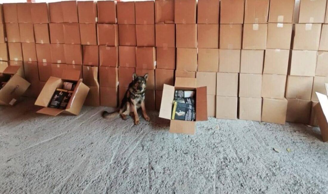 Erzurum'da kaçakçılık ve organize suçların önlenmesine yönelik yapılan çalışmalarda 28