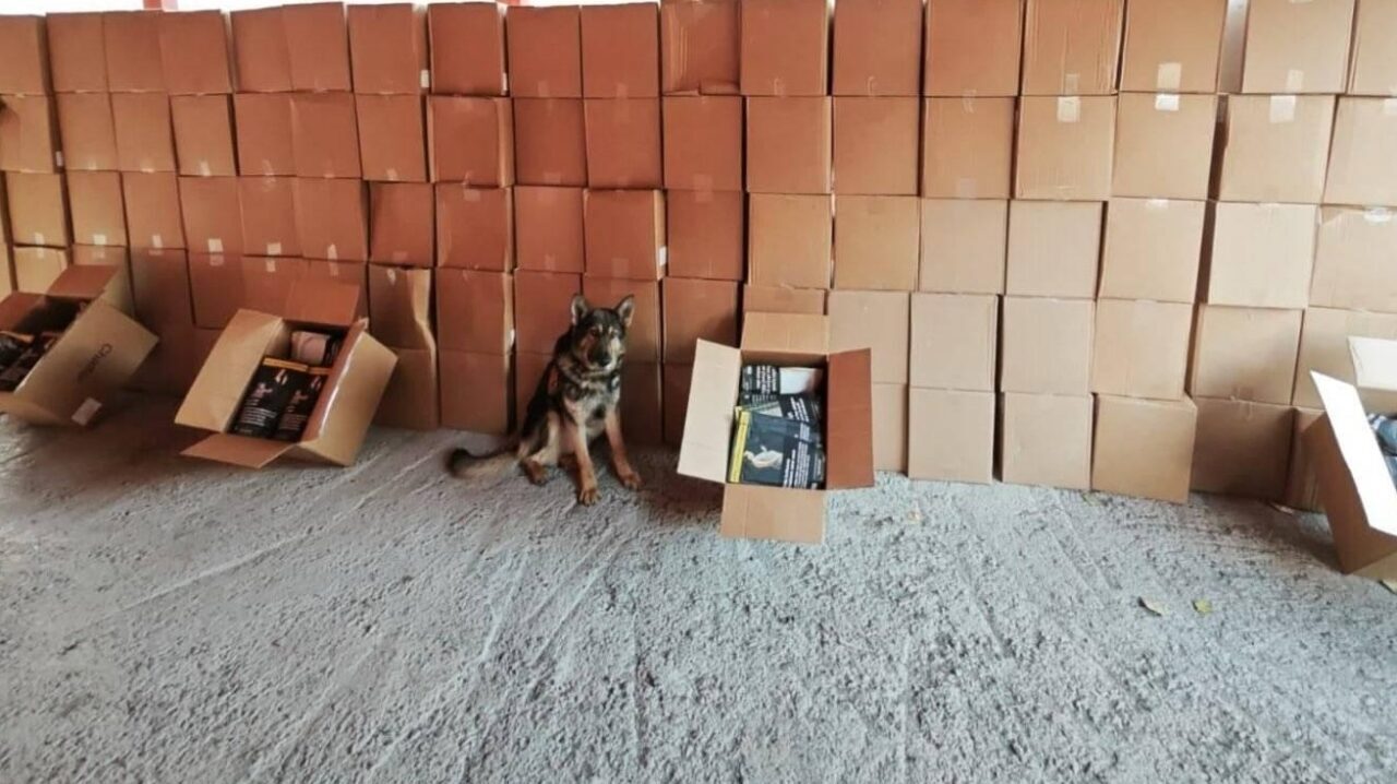 Erzurum'da kaçakçılık ve organize suçların önlenmesine yönelik yapılan çalışmalarda 28