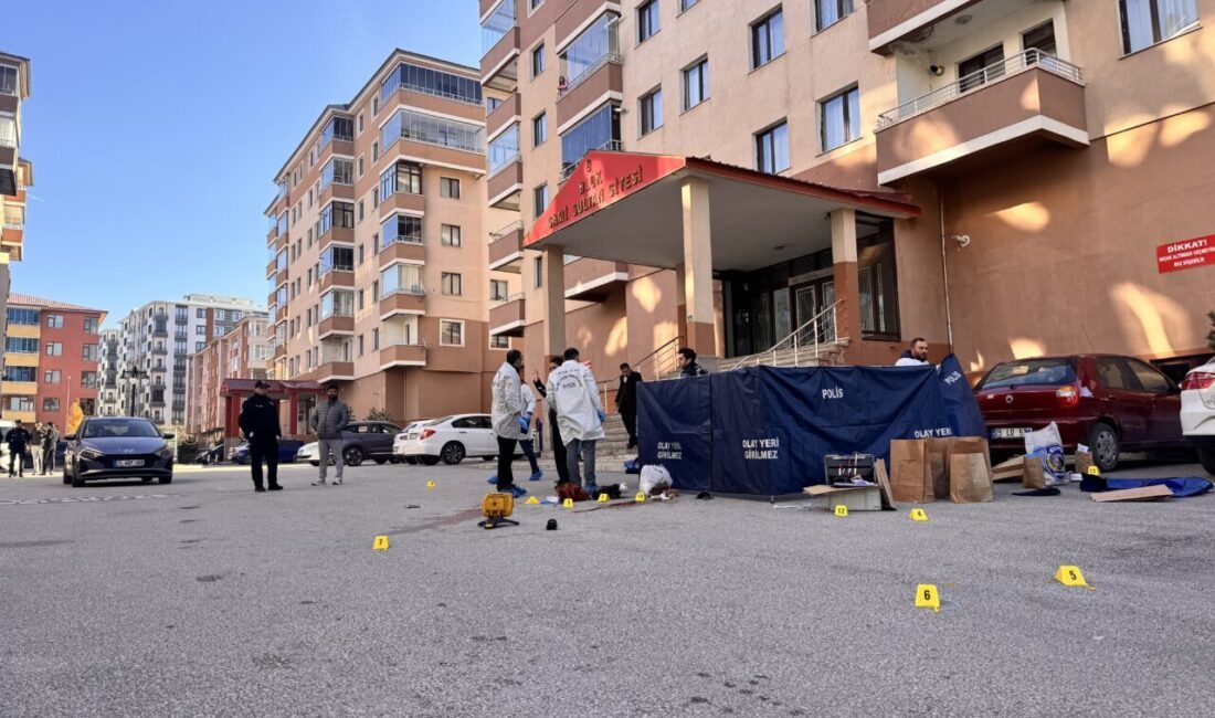 Erzurum'da bir kişi tartıştığı kadını silahla katlettikten sonra kendi yaşamına