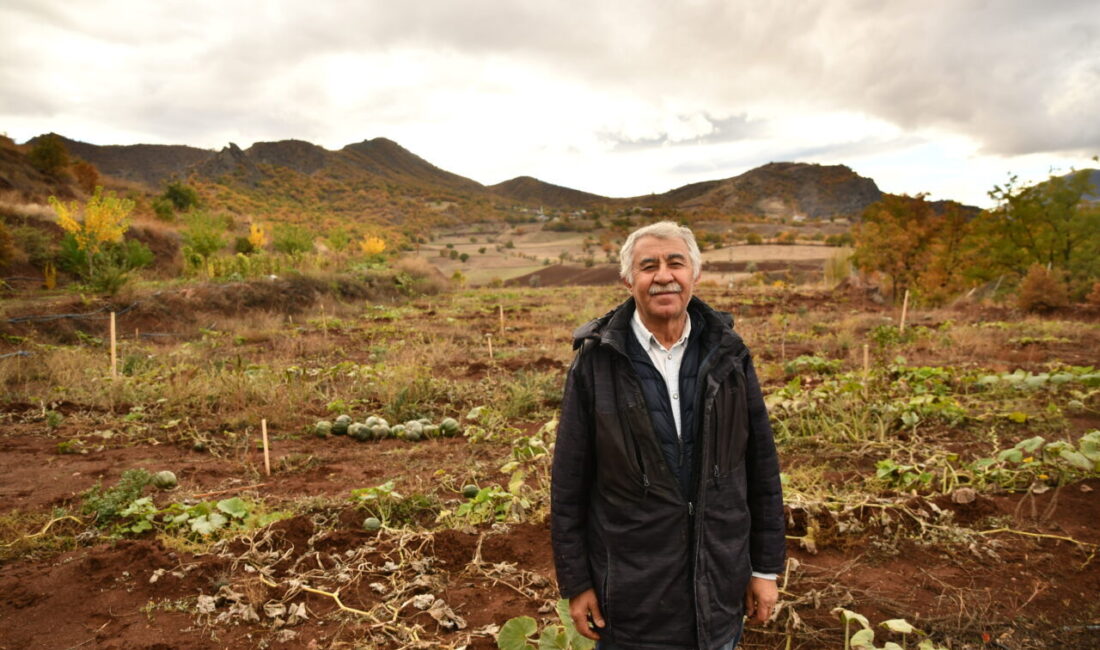 Giresun'un Şebinkarahisar ilçesinde yaşayan Celal Bay, yörede iklim koşullarına uyum