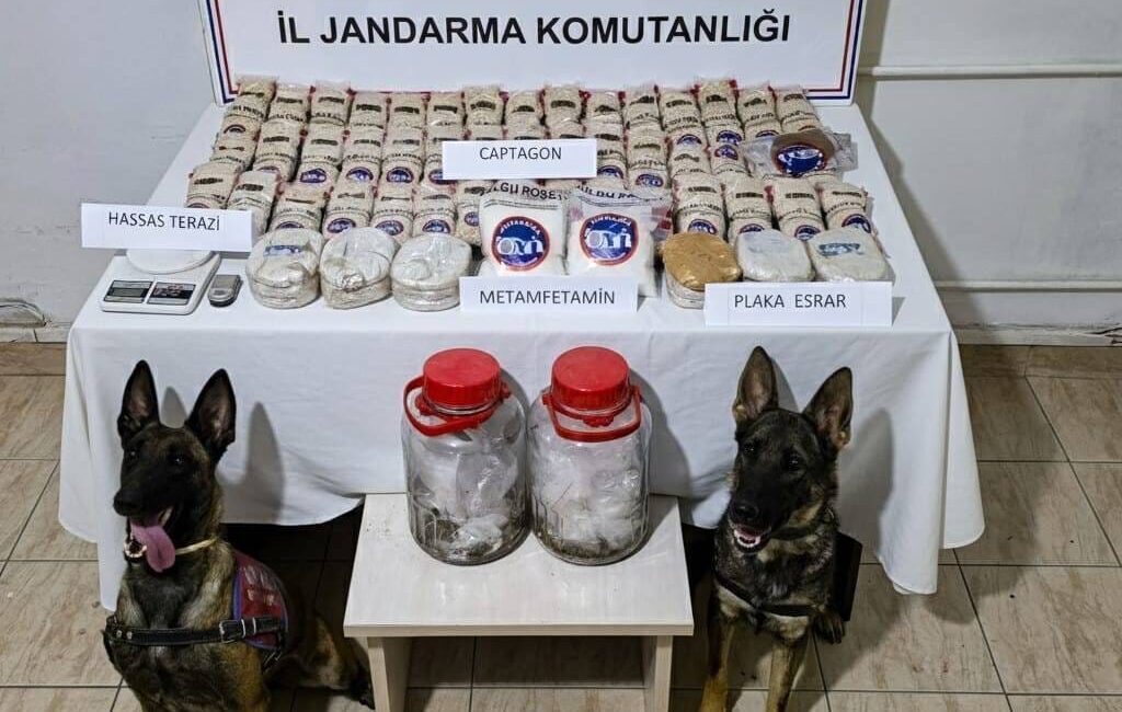 Hatay'ın Reyhanlı ilçesinde jandarma ekiplerince sazlık alanda 100 bin yasaklı