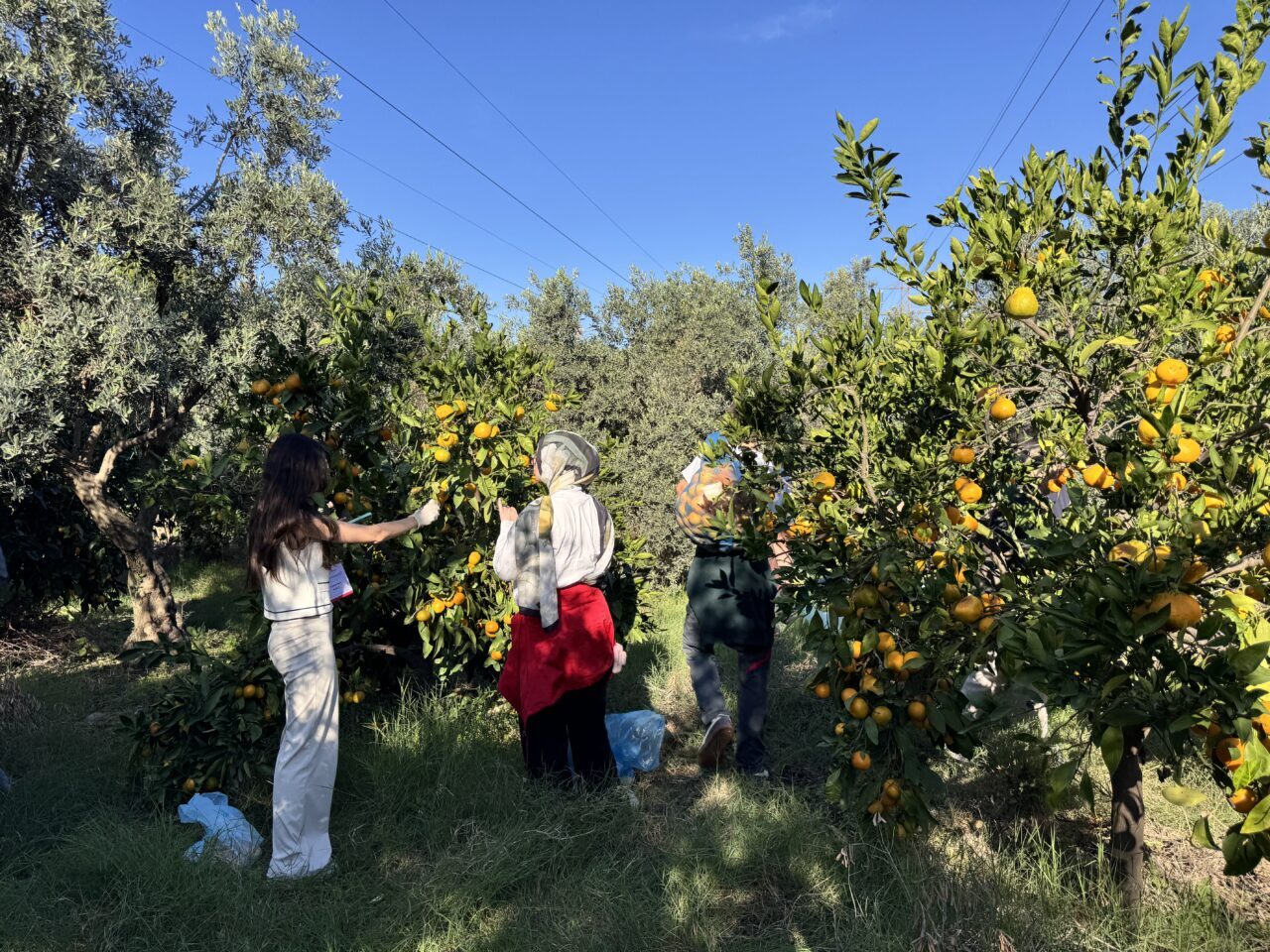 Gençlik ve Spor Bakanlığınca yürütülen "Anadoluyuz Biz" projesi kapsamında Hatay'ı
