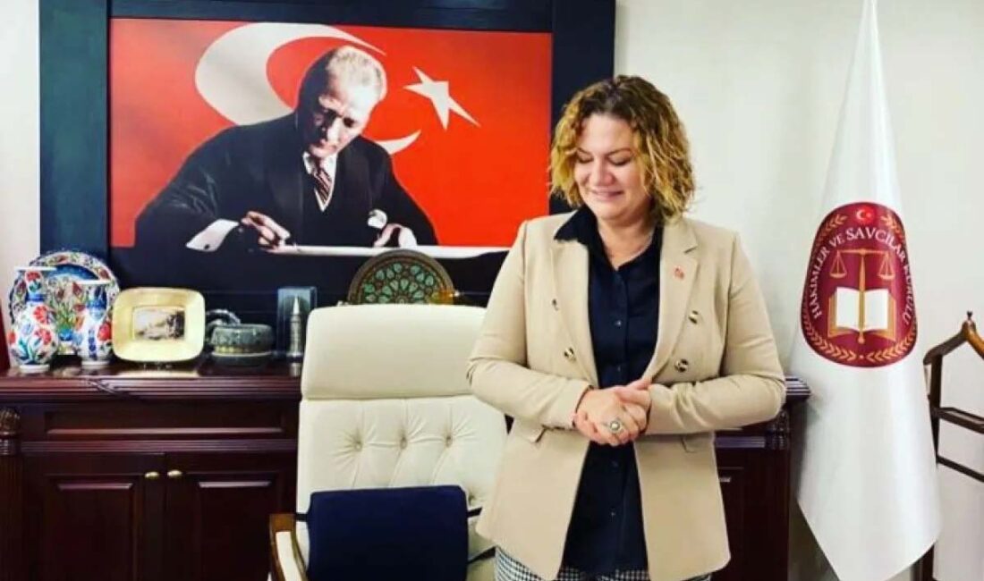 TBMM Genel Kurulunda, Havvanur Yurtsever, Hakimler ve Savcılar Kurulu (HSK)