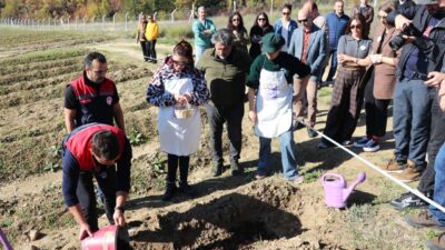 Karabük'ün UNESCO Dünya Mirası Listesi'ndeki Safranbolu ilçesinde "Safran İmecesi" etkinliği