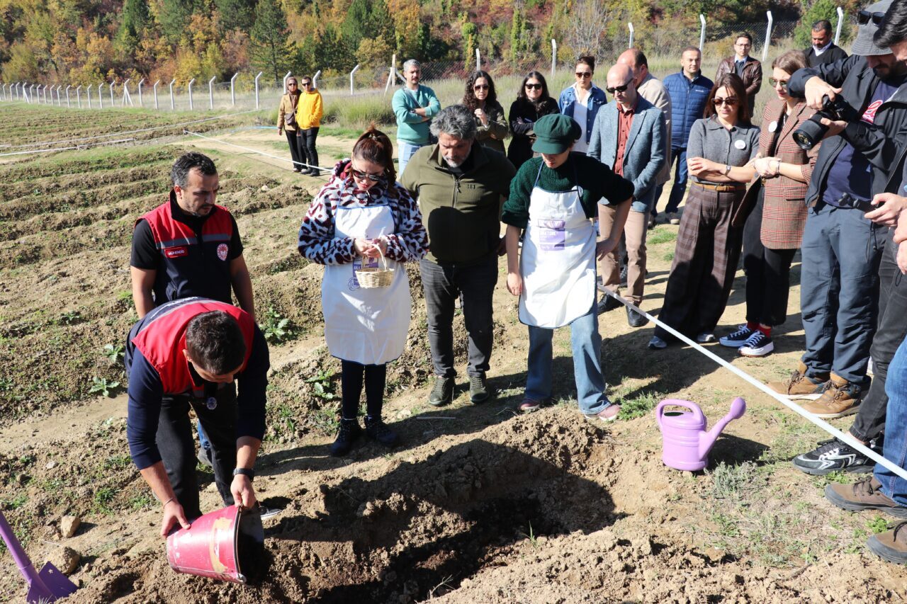 Karabük'ün UNESCO Dünya Mirası Listesi'ndeki Safranbolu ilçesinde "Safran İmecesi" etkinliği