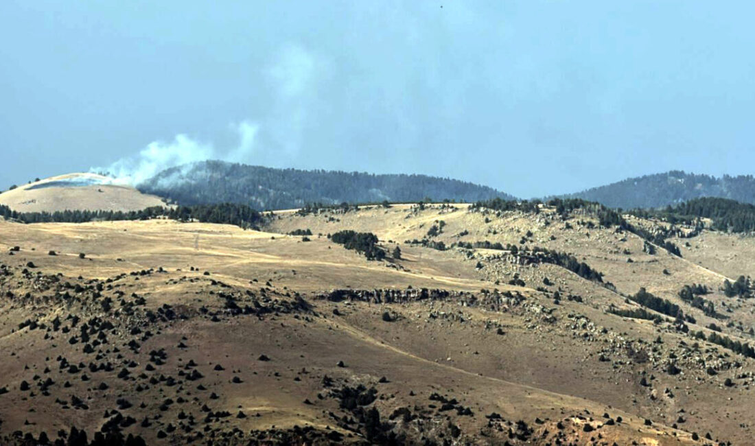 Kars'ın Sarıkamış ilçesinde ormanlık alanda çıkan örtü yangınında yaklaşık 1,5