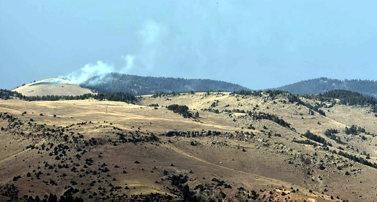 Kars'ın Sarıkamış ilçesinde ormanlık alanda çıkan örtü yangınında yaklaşık 1,5
