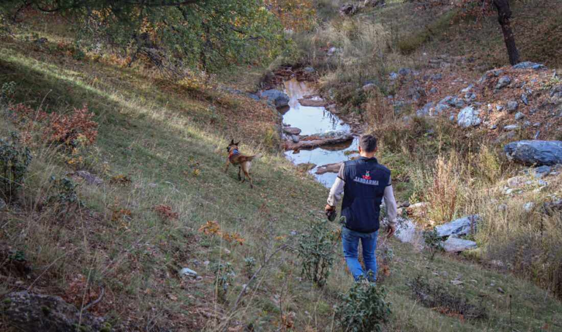  Kütahya'nın Domaniç ilçesinde yaklaşık 2 yıl önce kaybolan 80 yaşındaki