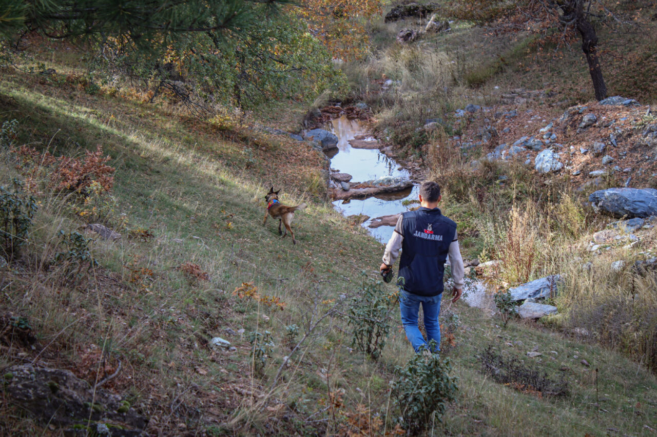  Kütahya'nın Domaniç ilçesinde yaklaşık 2 yıl önce kaybolan 80 yaşındaki