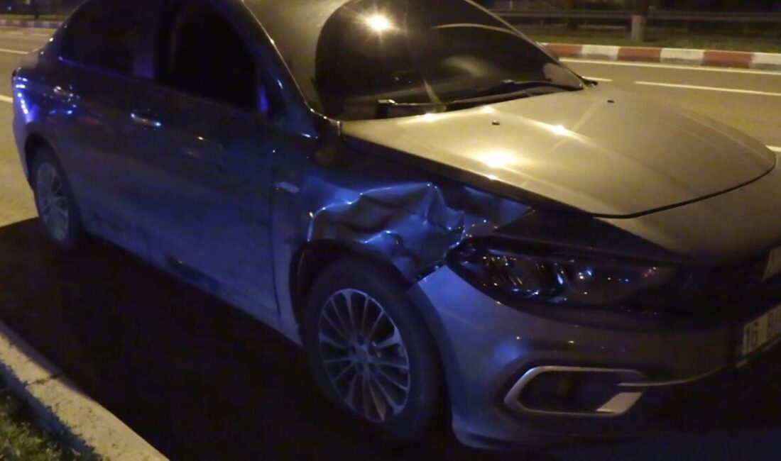 Kütahya'nın Tavşanlı ilçesinde, otomobilin çarpması sonucu bir kişi hayatını kaybetti.