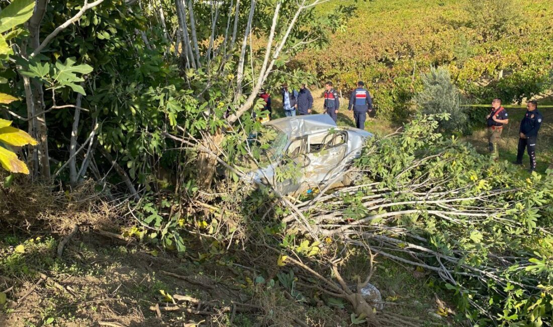 Manisa'nın Sarıgöl ilçesinde devrilen otomobilin sürücüsü hayatını kaybetti.