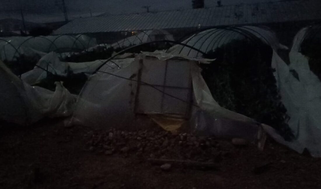 Mersin'in Bozyazı ilçesinde meydana gelen hortum nedeniyle muz ve sebze